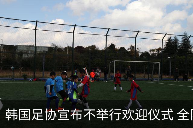 韩国足协宣布不举行欢迎仪式 全队将分批次悄悄返乡